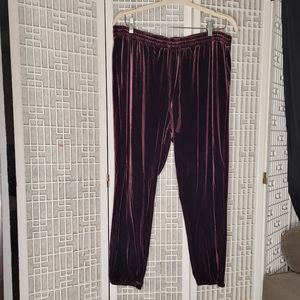 Velvet Sweatpants